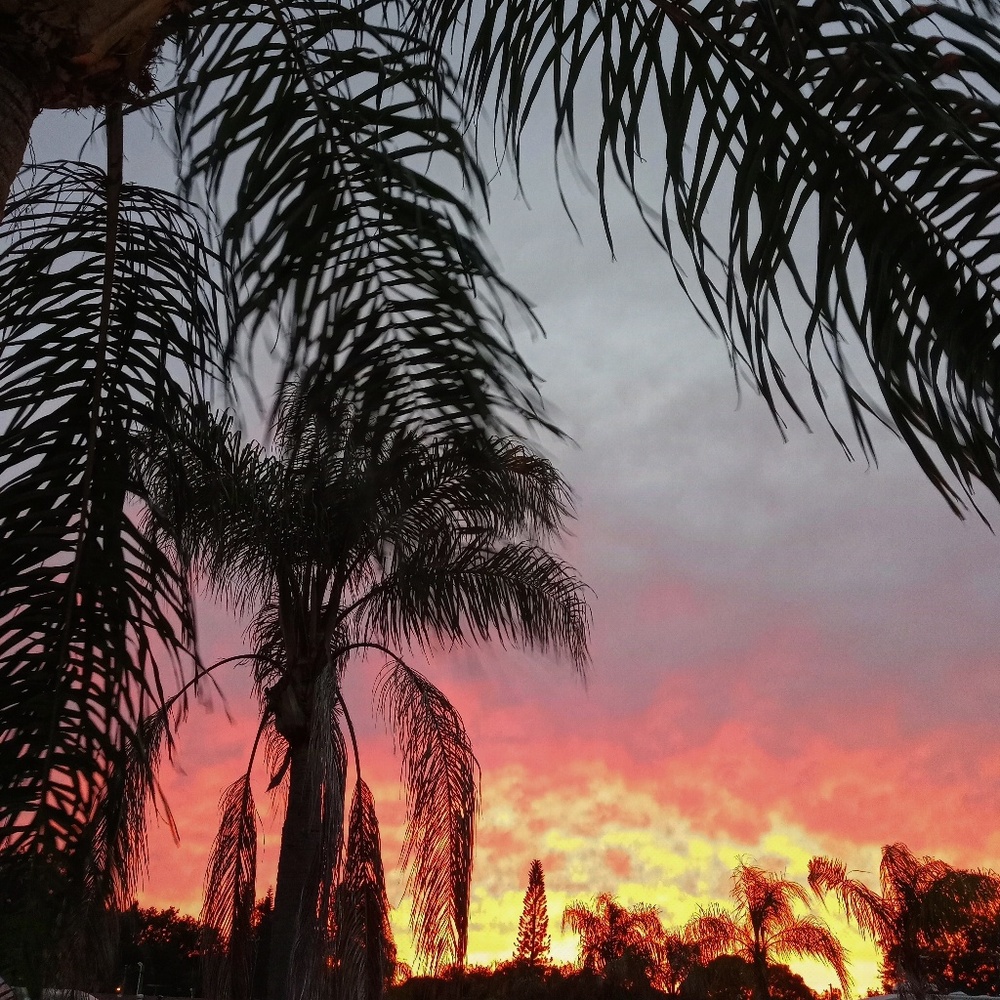 Meet your Posher, Annie